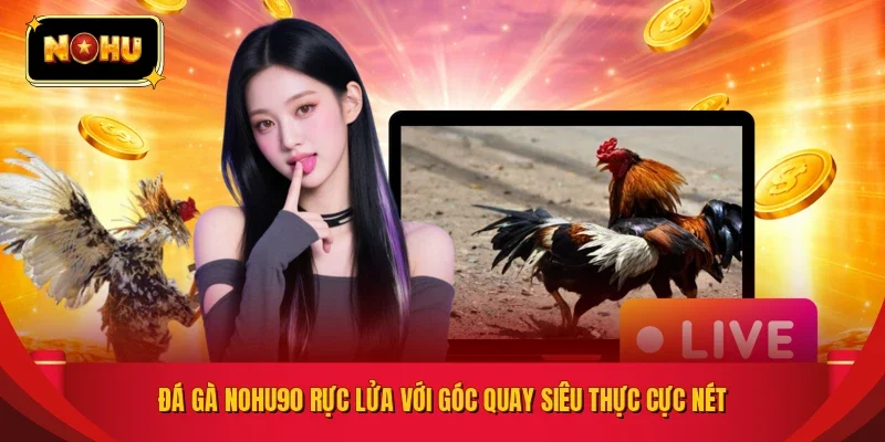 Đá gà NOHU90 rực lửa với góc quay siêu thực cực nét